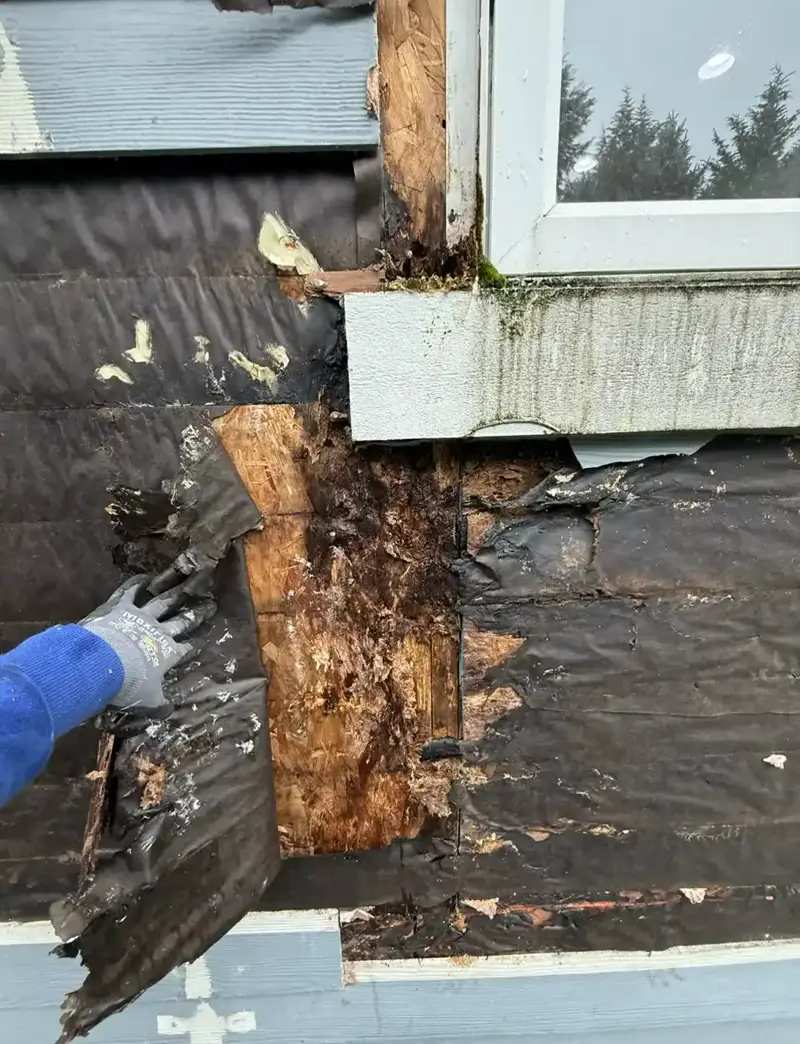Rot at a window corner